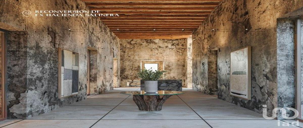 Foto de terreno habitacional en venta en 17 555, santa clara, dzidzantún, yucatán, 28730251 No. 05