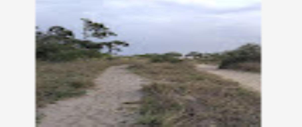 Foto de terreno habitacional en , 17 de enero, ciudad madero, tamaulipas, 0 foto 02 Foto de terreno habitacional en renta en , 17 de enero, ciudad madero, tamaulipas, 0 No. 02