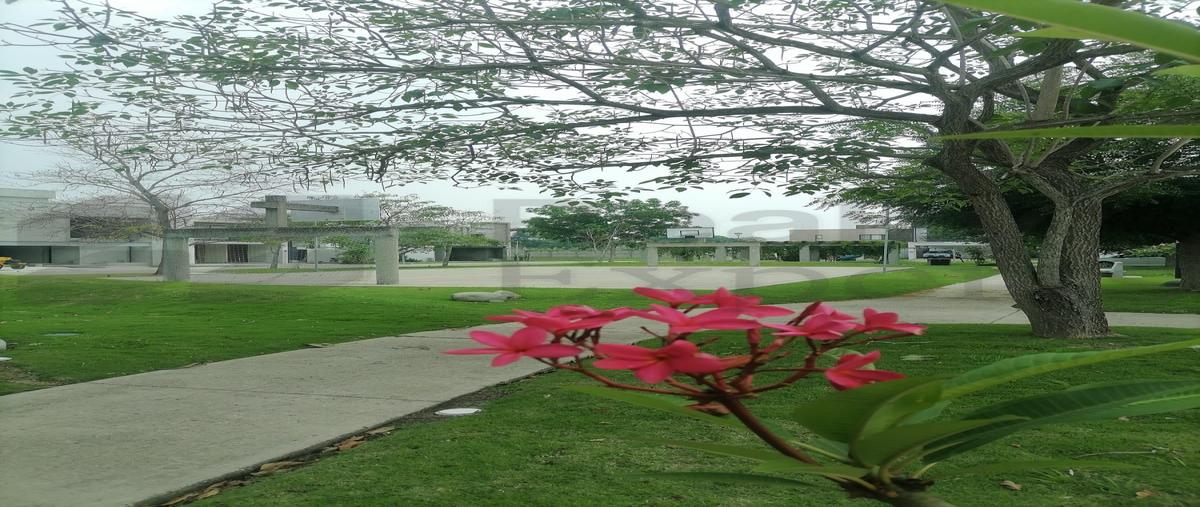 Foto de terreno habitacional en venta en  , 17 de julio, nacajuca, tabasco, 0 No. 03