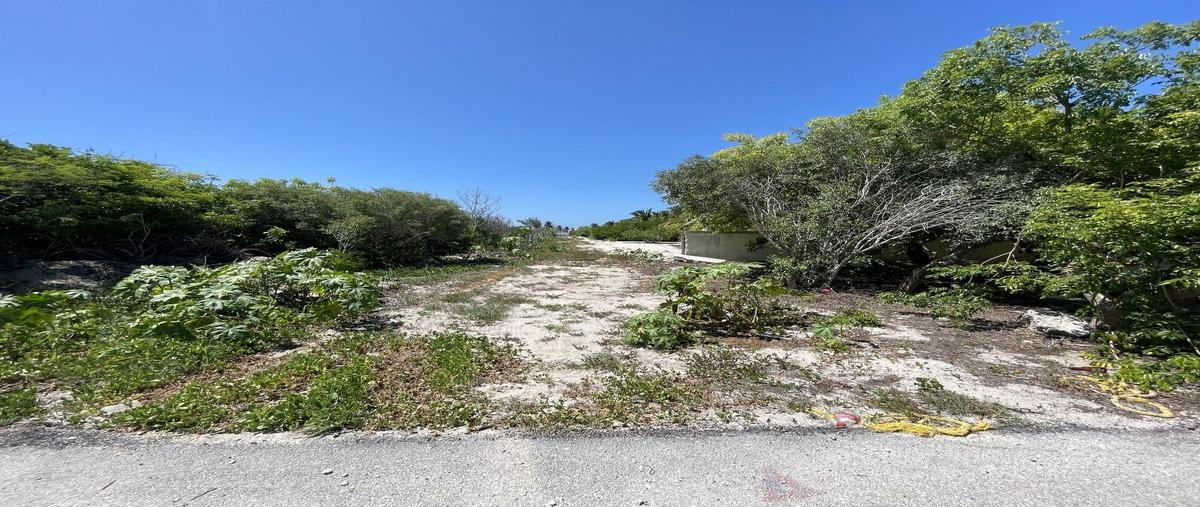 Foto de terreno habitacional en venta en 17 , san benito, ixil, yucatán, 27465082 No. 03