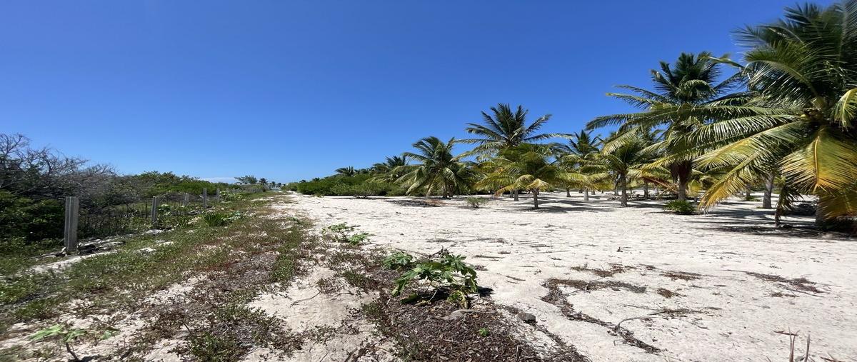 Foto de terreno habitacional en venta en 17 , san benito, ixil, yucatán, 27465082 No. 04