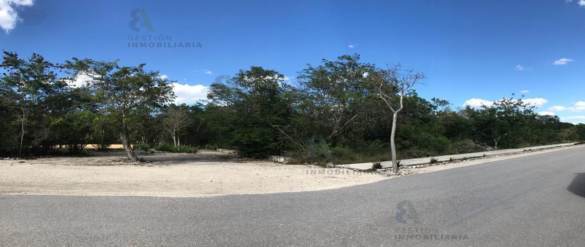 Foto de terreno habitacional en 17 , san ignacio, progreso, yucatán, 18693356 foto 03 Foto de terreno habitacional en venta en 17 , san ignacio, progreso, yucatán, 18693356 No. 03