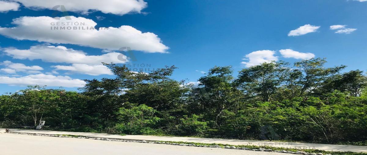 Foto de terreno habitacional en 17 , san ignacio, progreso, yucatán, 18693356 foto 04 Foto de terreno habitacional en venta en 17 , san ignacio, progreso, yucatán, 18693356 No. 04