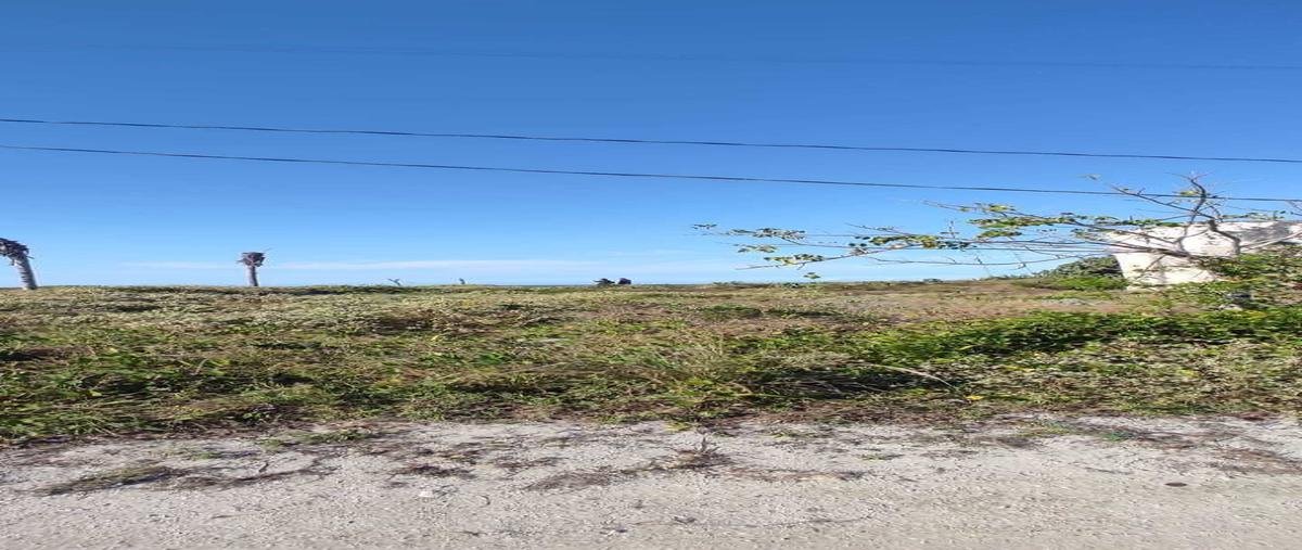 Foto de terreno habitacional en venta en 17 , santa clara, dzidzantún, yucatán, 0 No. 04