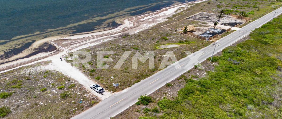 Foto de terreno habitacional en 17 , santa clara, dzidzantún, yucatán, 0 foto 01 Foto de terreno habitacional en venta en 17 , santa clara, dzidzantún, yucatán, 0 No. 01