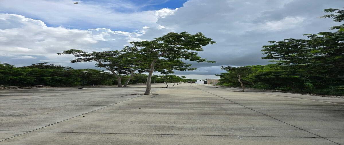 Foto de terreno habitacional en venta en 17 , temozon norte, mérida, yucatán, 0 No. 04