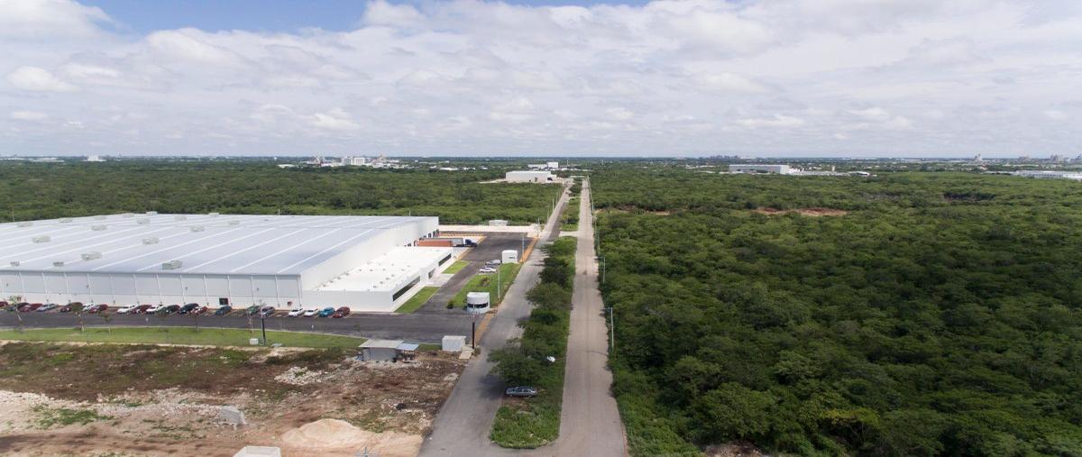 Foto de bodega en venta en 17 , tixcacal opichen, mérida, yucatán, 28133381 No. 05