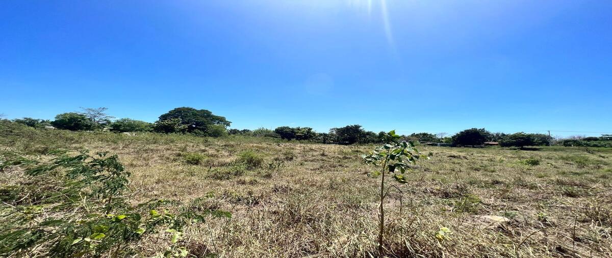 Foto de terreno habitacional en venta en 17 , yobain, yobaín, yucatán, 28376009 No. 03