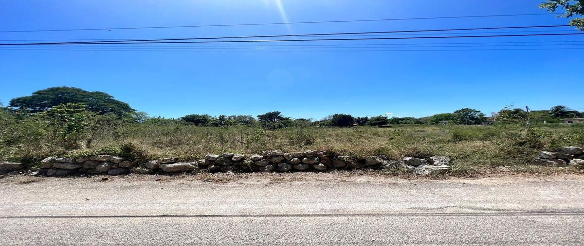 Foto de terreno habitacional en venta en 17 , yobain, yobaín, yucatán, 28376009 No. 04