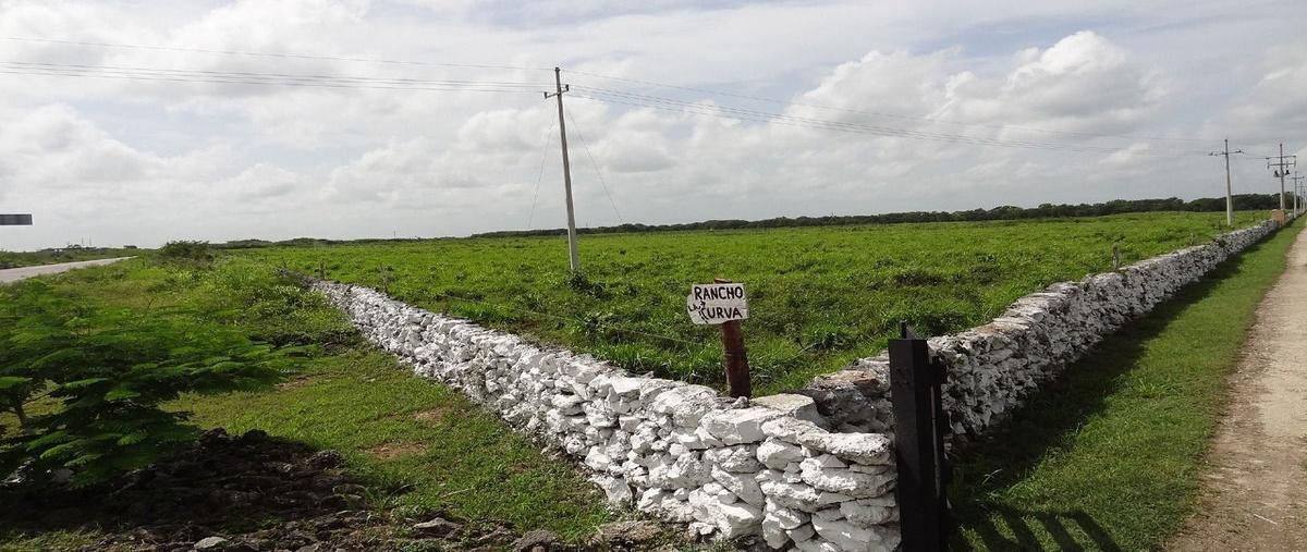 Foto de rancho en venta en 176 , buctzotz, buctzotz, yucatán, 29741203 No. 03