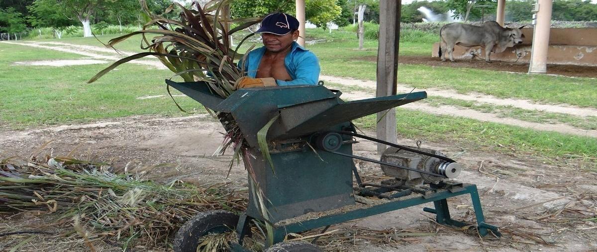 Foto de rancho en venta en 176 , buctzotz, buctzotz, yucatán, 29741203 No. 04