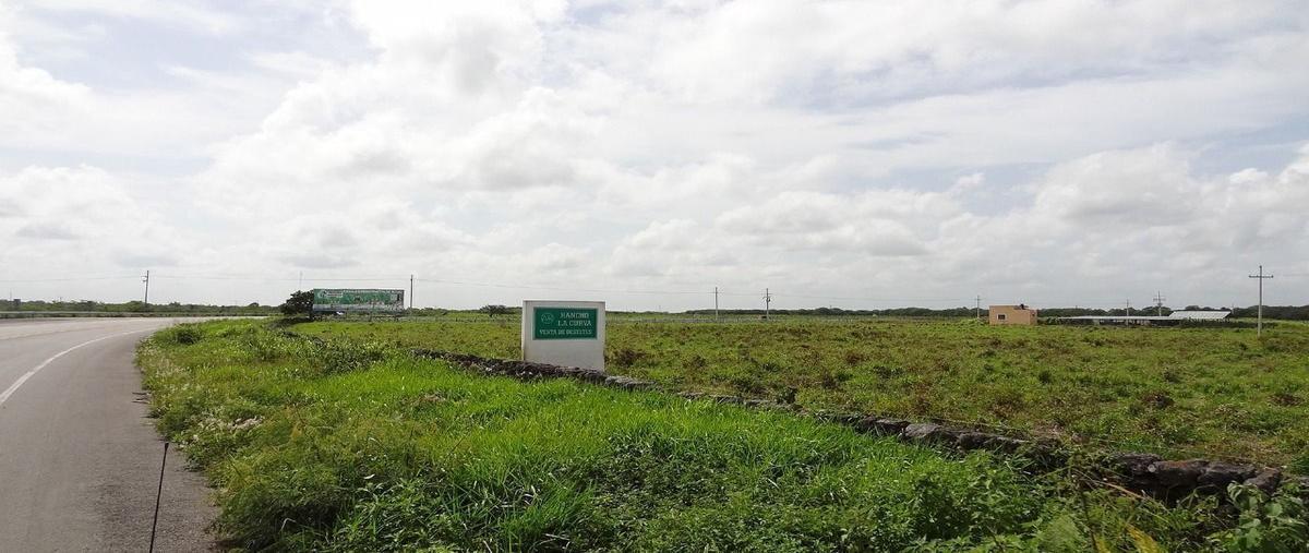 Foto de rancho en venta en 176 , buctzotz, buctzotz, yucatán, 29741203 No. 05