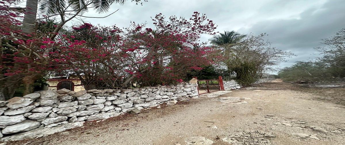Foto de rancho en 18 , centro telchac pueblo, telchac pueblo, yucatán, 0 foto 03 Foto de rancho en venta en 18 , centro telchac pueblo, telchac pueblo, yucatán, 0 No. 03