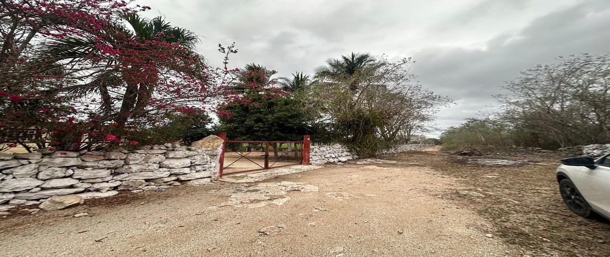 Foto de rancho en 18 , centro telchac pueblo, telchac pueblo, yucatán, 0 foto 04 Foto de rancho en venta en 18 , centro telchac pueblo, telchac pueblo, yucatán, 0 No. 04
