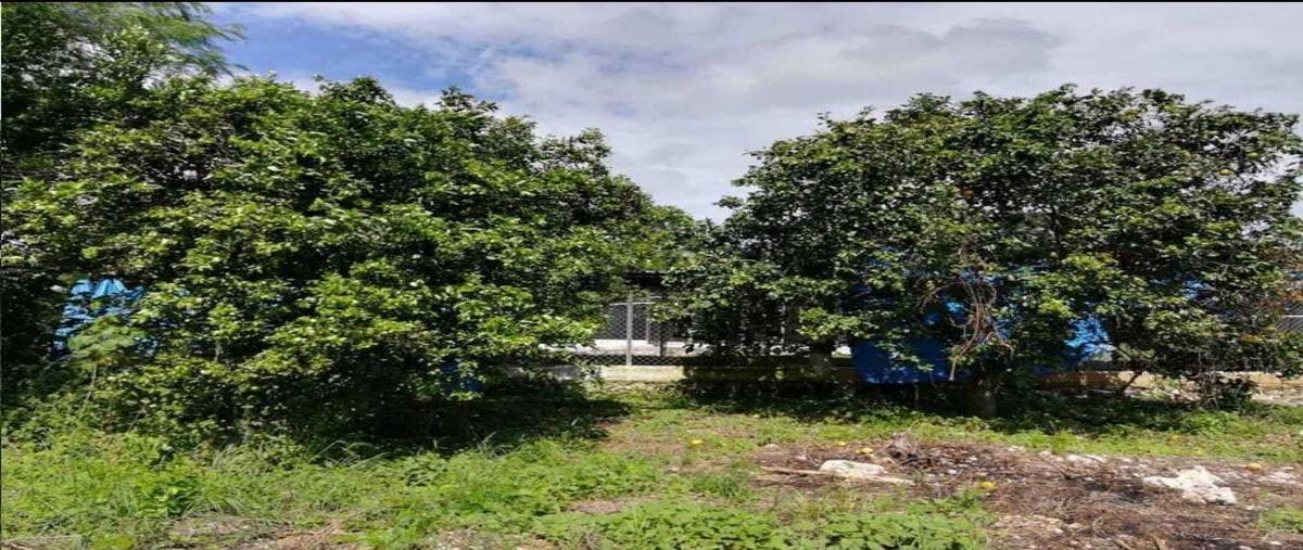 Foto de rancho en 18 , centro umán, umán, yucatán, 30120186 foto 02 Foto de rancho en venta en 18 , centro umán, umán, yucatán, 30120186 No. 02