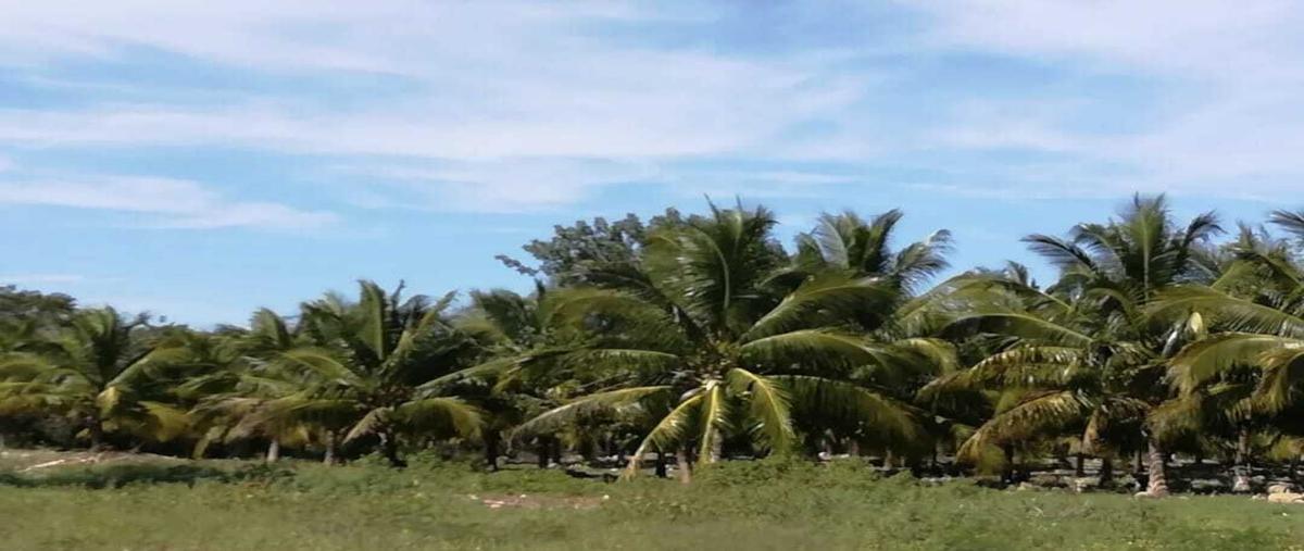 Foto de rancho en 18 , centro umán, umán, yucatán, 30120186 foto 03 Foto de rancho en venta en 18 , centro umán, umán, yucatán, 30120186 No. 03