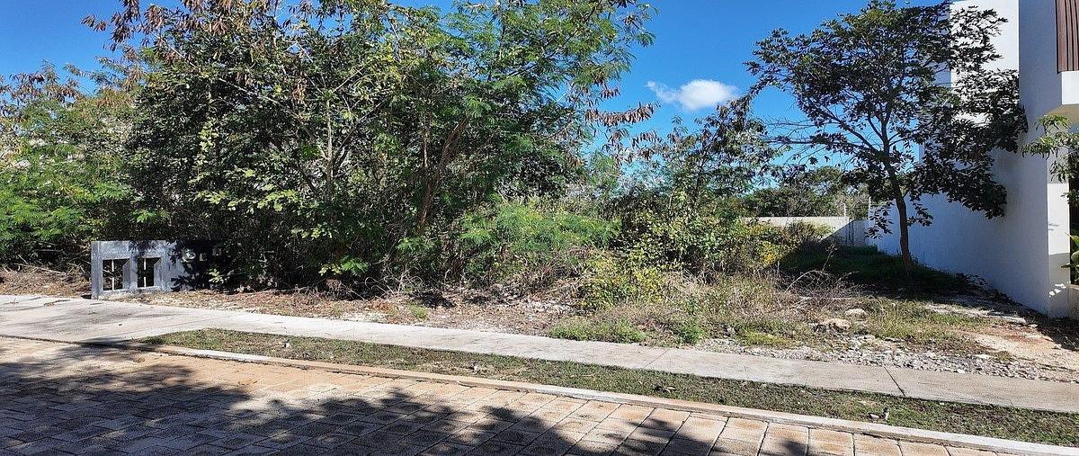 Foto de terreno habitacional en venta en 18 , cholul, mérida, yucatán, 0 No. 03