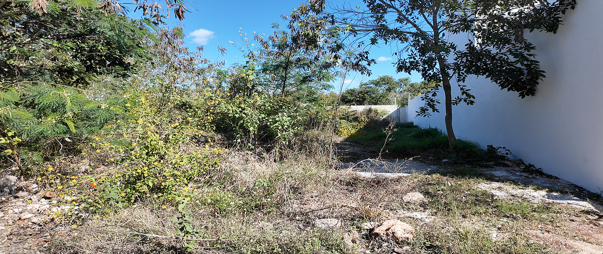 Foto de terreno habitacional en venta en 18 , cholul, mérida, yucatán, 0 No. 04