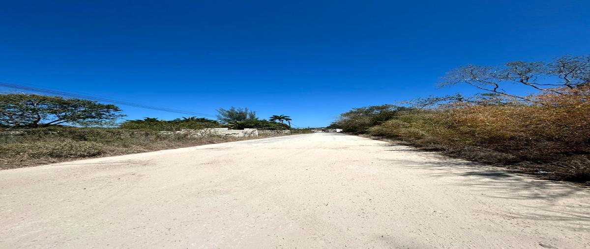 Foto de terreno habitacional en venta en 18 , dzitya, mérida, yucatán, 27788696 No. 03
