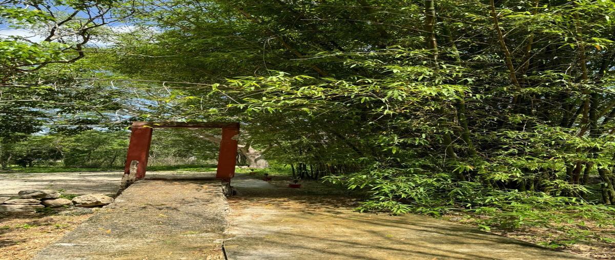 Foto de rancho en venta en 18 , kinchil, kinchil, yucatán, 30116922 No. 03