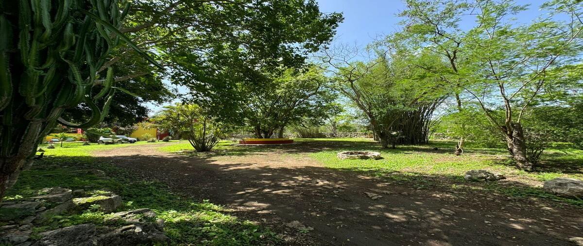 Foto de rancho en venta en 18 , kinchil, kinchil, yucatán, 30116922 No. 04