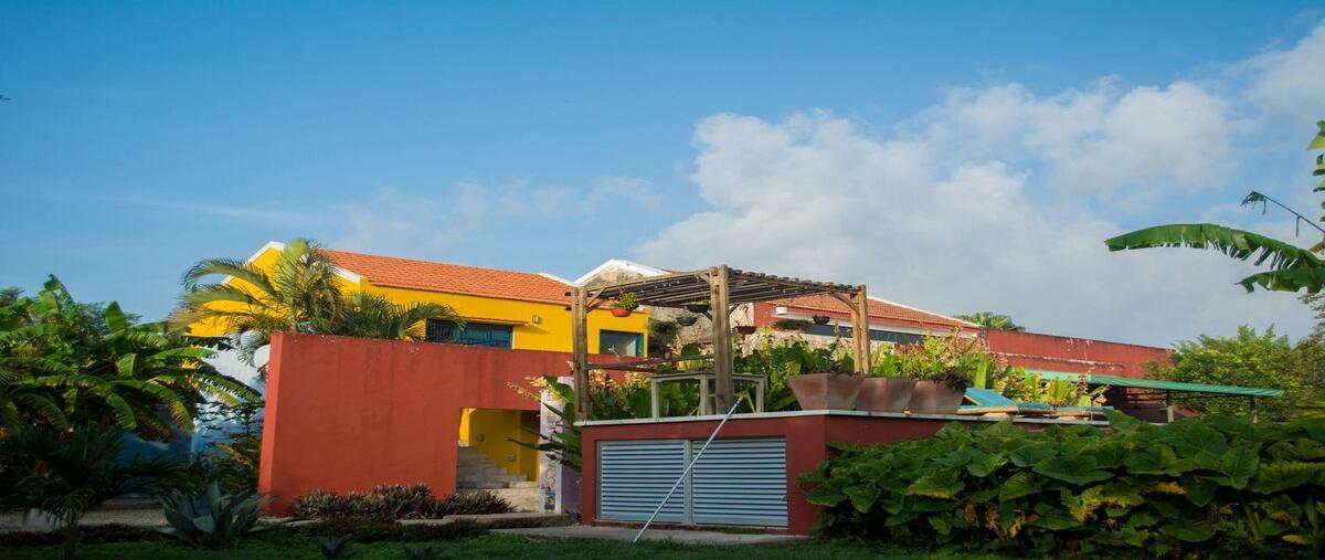 Foto de rancho en venta en 18 , kinchil, kinchil, yucatán, 30116922 No. 05