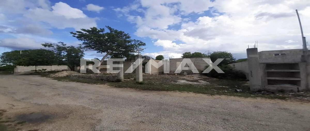 Foto de terreno habitacional en 180 , san vicente, valladolid, yucatán, 0 foto 05 Foto de terreno habitacional en venta en 180 , san vicente, valladolid, yucatán, 0 No. 05
