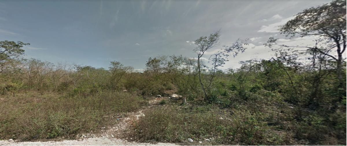 Foto de terreno habitacional en venta en 181 , san marcos nocoh, mérida, yucatán, 0 No. 05