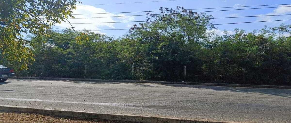 Foto de terreno comercial en venta en 185 , el roble agrícola, mérida, yucatán, 28984487 No. 03