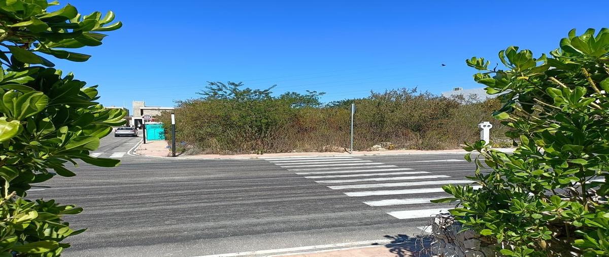 Foto de terreno habitacional en 18837 , cholul, mérida, yucatán, 0 foto 02 Foto de terreno habitacional en venta en 18837 , cholul, mérida, yucatán, 0 No. 02