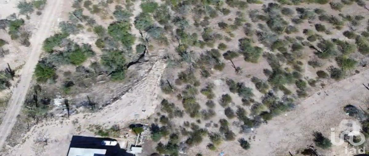 Foto de terreno habitacional en venta en 19 75, el centenario, la paz, baja california sur, 30914563 No. 05