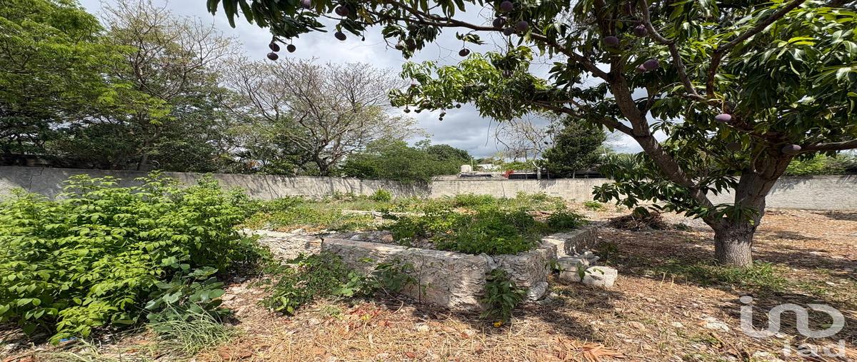 Foto de terreno habitacional en venta en 19 b 476, pedregal lindavista, mérida, yucatán, 0 No. 05