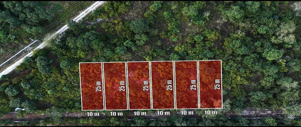 Foto de terreno habitacional en venta en 19 , baca, baca, yucatán, 30591683 No. 04