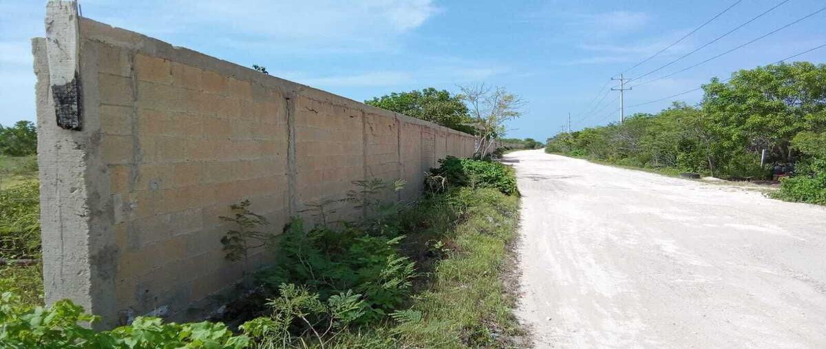 Foto de terreno habitacional en venta en 19 , celestun, celestún, yucatán, 0 No. 04