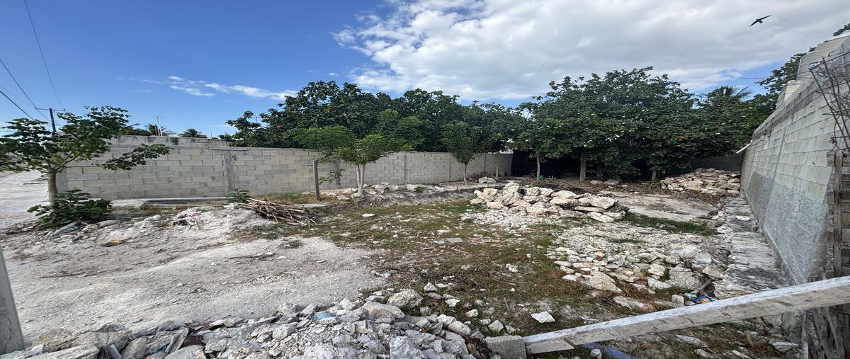 Foto de terreno habitacional en venta en 19 , chicxulub puerto, progreso, yucatán, 29711018 No. 04