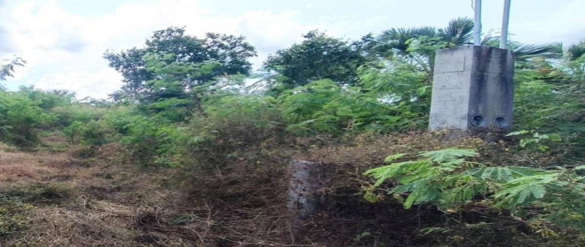 Foto de terreno habitacional en venta en 19 , citilcum, izamal, yucatán, 29208247 No. 05