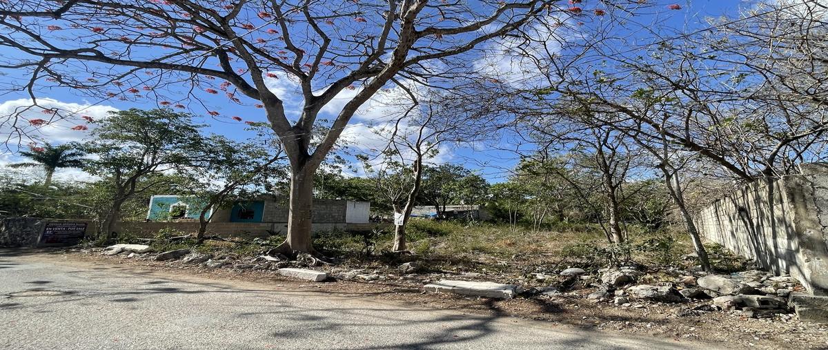 Foto de terreno habitacional en venta en 19 , conkal, conkal, yucatán, 30364355 No. 05