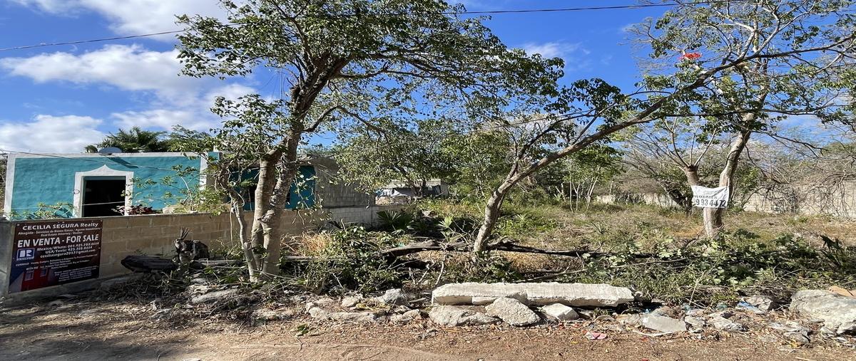 Foto de terreno habitacional en venta en 19 , conkal, conkal, yucatán, 30364355 No. 06