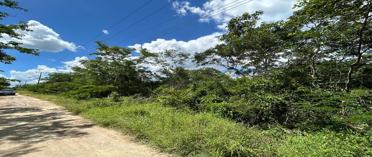 Foto de terreno habitacional en venta en 19 , conkal, conkal, yucatán, 30403787 No. 04
