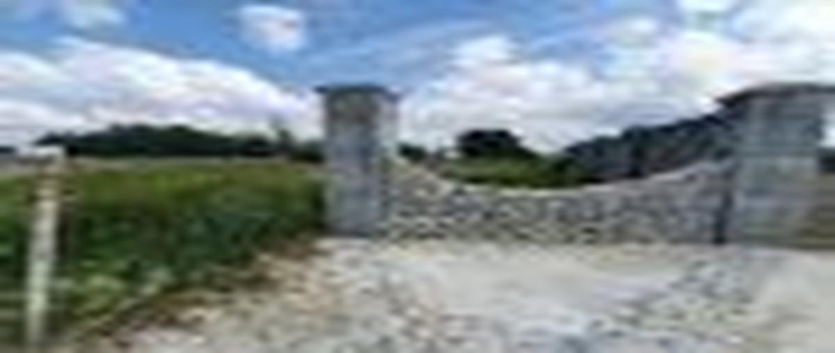 Foto de terreno habitacional en venta en 19 de febrero , cerro prieto, linares, nuevo león, 26924130 No. 03