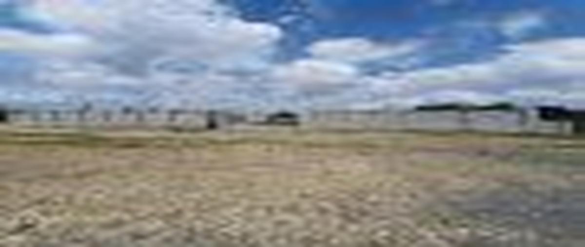 Foto de terreno habitacional en venta en 19 de febrero , cerro prieto, linares, nuevo león, 26924130 No. 04