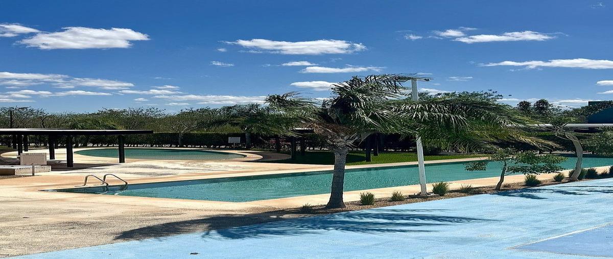 Foto de terreno habitacional en venta en 19 , del norte, mérida, yucatán, 0 No. 12