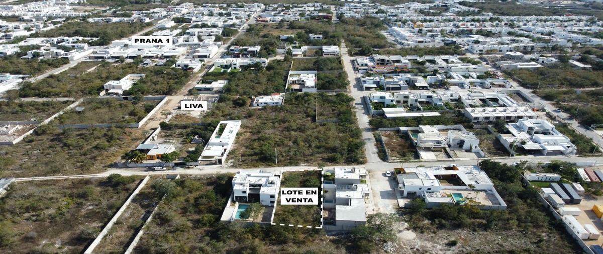 Foto de terreno habitacional en venta en 19 , dzitya, mérida, yucatán, 27772372 No. 04