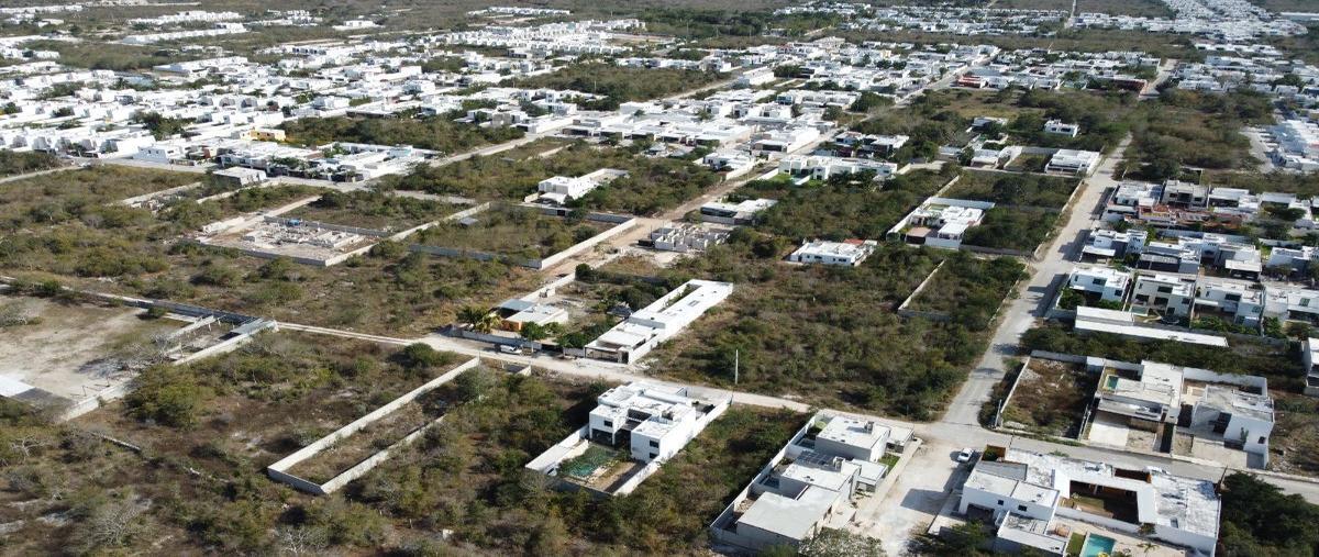 Foto de terreno habitacional en venta en 19 , dzitya, mérida, yucatán, 27772372 No. 05