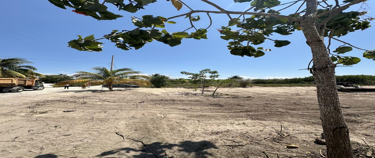 Foto de terreno habitacional en venta en 19 , felipe carrillo puerto nte, mérida, yucatán, 0 No. 04