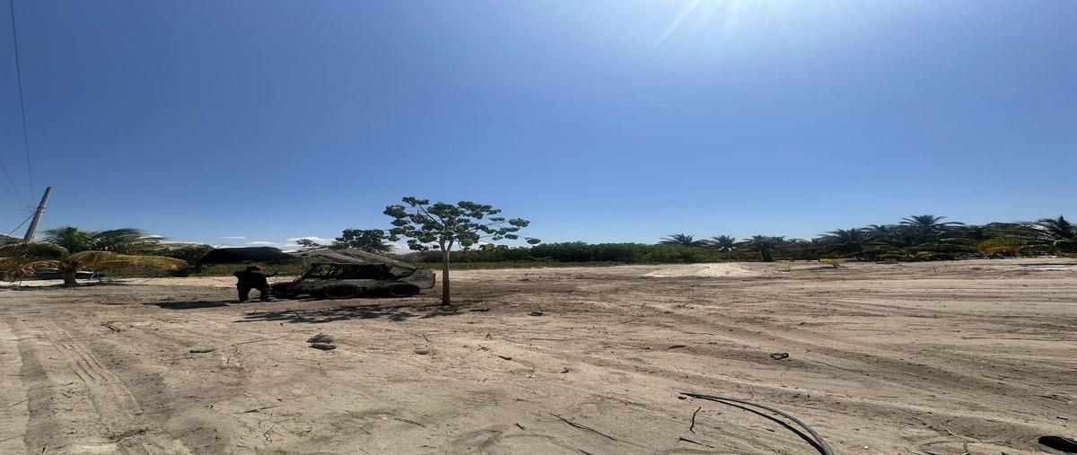 Foto de terreno habitacional en venta en 19 , felipe carrillo puerto nte, mérida, yucatán, 0 No. 05