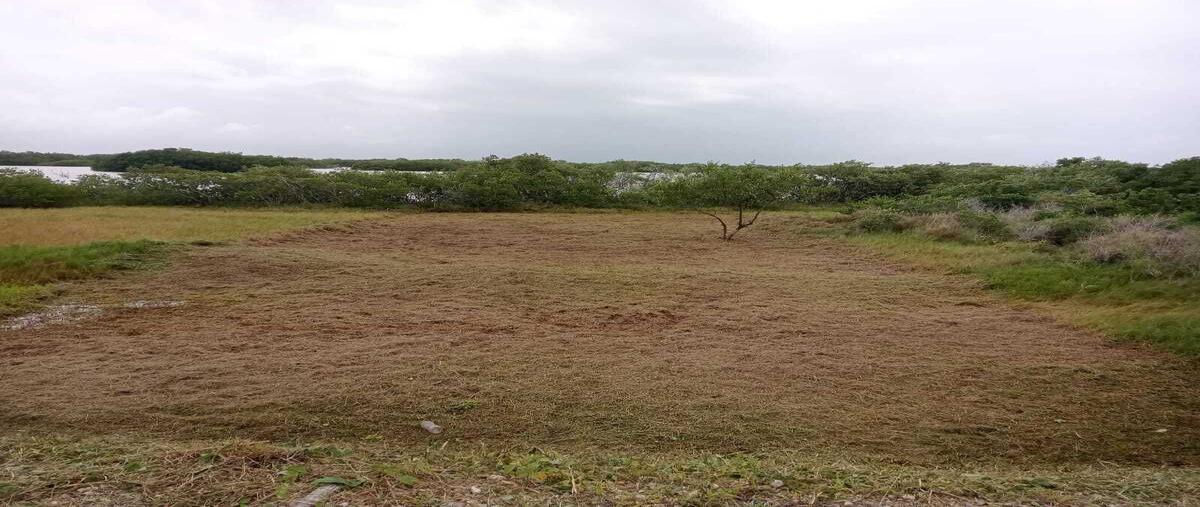 Foto de terreno habitacional en venta en 19 oriente , santa clara, dzidzantún, yucatán, 0 No. 03