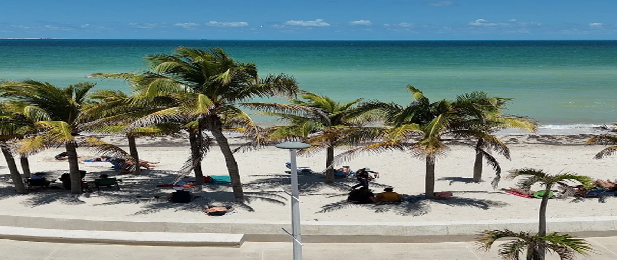 Foto de terreno comercial en renta en 19 , progreso de castro centro, progreso, yucatán, 30920738 No. 07