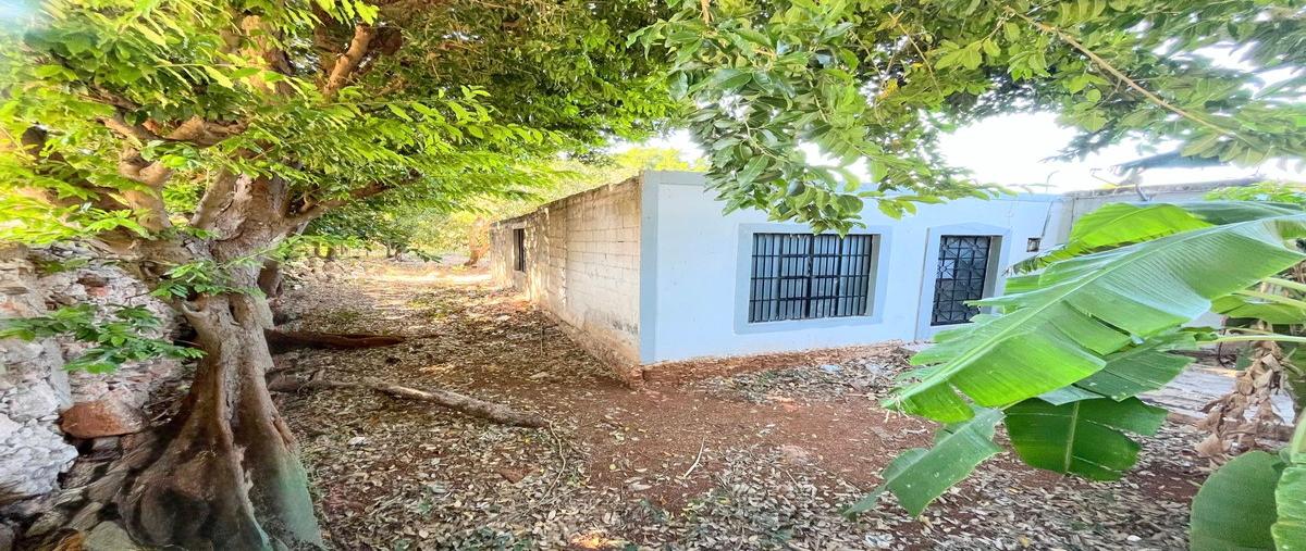 Foto de terreno habitacional en 19a 24 , felipe carrillo puerto, mérida, yucatán, 0 foto 03 Foto de terreno habitacional en venta en 19a 24 , felipe carrillo puerto, mérida, yucatán, 0 No. 03