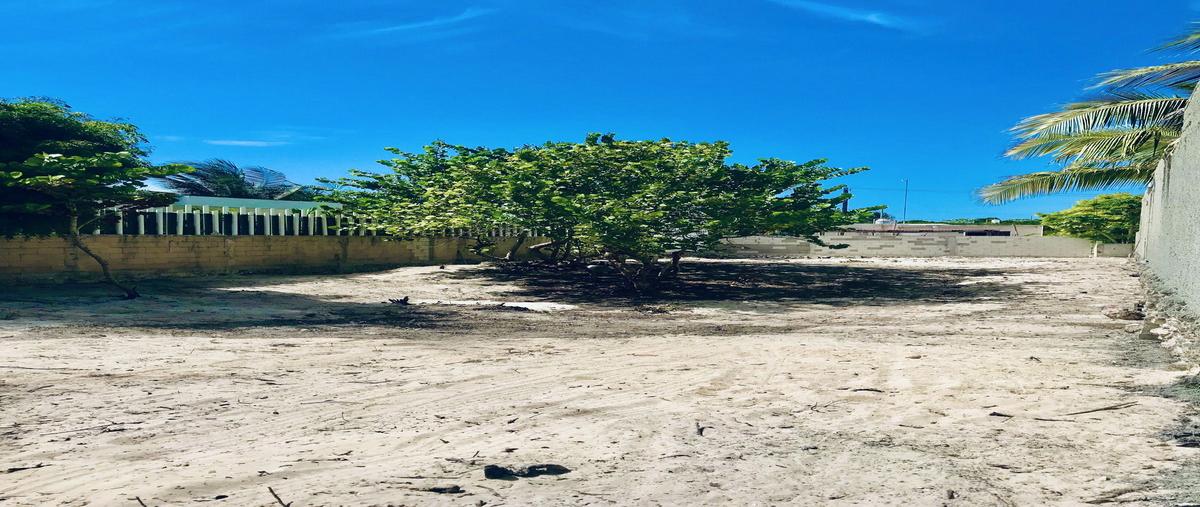 Foto de terreno habitacional en 19b , chelem, progreso, yucatán, 27751659 foto 02 Foto de terreno habitacional en venta en 19b , chelem, progreso, yucatán, 27751659 No. 02